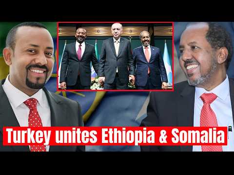 Turkey Resolves the Somalia Ethiopia Dispute Over Somaliland Port Deal