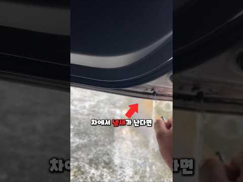 많은 사람들이 모르는 차 냄새의 원인