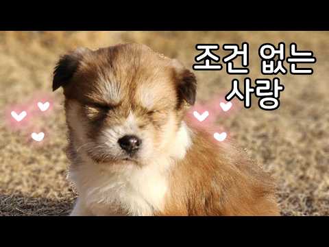 자비롭게 살게 된 뜨리