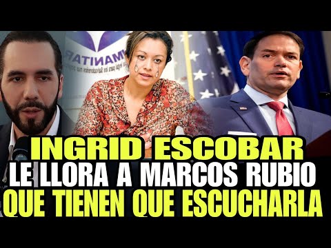 BOMBAZOO INGRID ESCOBAR LE LLORA A MARCOS RUBIO, PARA SER ESCUCHADA TODAS LAS ORGANIZACIONES CIVILES