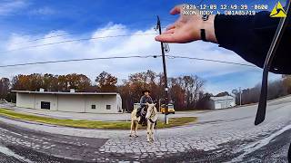When You Flee Police on Your Horse
