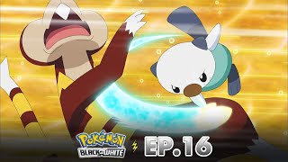 Pokémon: Black & White | EP. 16 | Tantang Ulang! Ledakan Jurus Baru! | Pokémon Indonesia