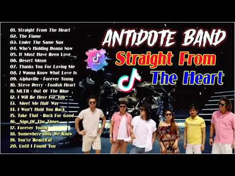 The best songs of Antidote Band -  Antidote Band Nonstop Songs 2025 😘   Straight From The Heart