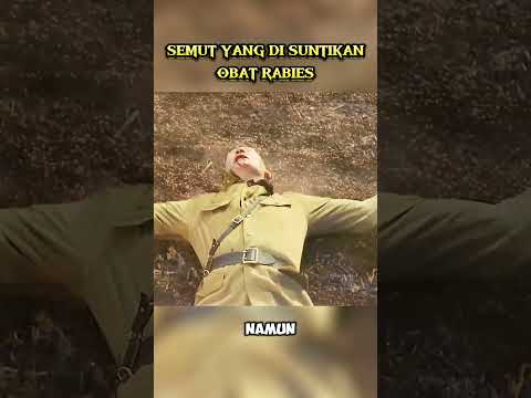 Semut yang di suntikan obat rabies #alurceritafilm #alurcerita #film #movie #riviewfilm