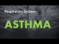 Exploring Asthma and Its Impact on Breathing