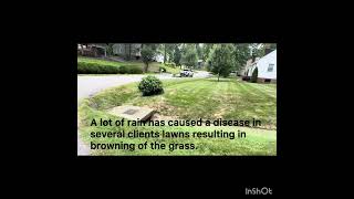 Diseased grass but it still needs cutting!  Music: Call meMusician: LiQWYD