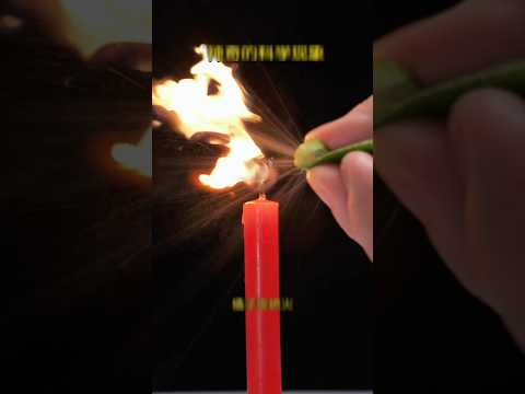 সাইন্স কতটা শক্তিশালী 😯এ ভিডিও না দেখলে বুঝবেন না 😇 #shorts​​ #trending​​ #science​