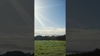 Tassie in Winter