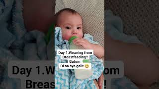 Day1.Di ako nahirapan dahil gutom na. #8mosbaby #weaningbabyfrombreastmilk #weaningjourney #momof5