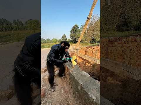 Is k sath bhut bura hua #pets #shorts