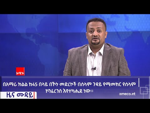 በአማራ ክልል ከ45 በላይ በኾኑ መድረኮች በሰላም ጉዳይ የሚመክር የሰላም ኮንፈረንስ እየተካሔደ ነው፡፡