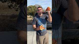 Dad Throws Pizza At Kid!
