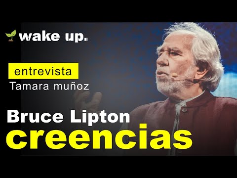 Que son las creencias según Bruce Lipton