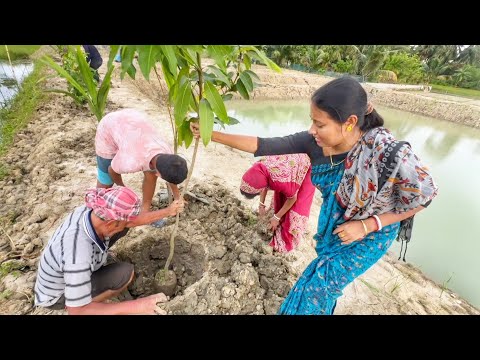 আমাদের নতুন পুকুরের ধারে অনেকরকম ফলের গাছ লাগালাম