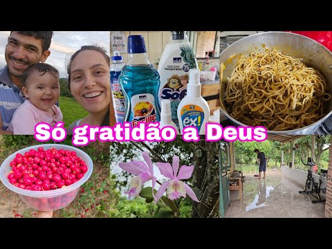 /gratidão estou muito feliz/almoço/colheita vida feliz de uma família rural.sexta feira com chuva