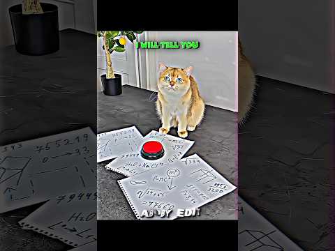 #songlyrics #estoicismo #trends #shorts