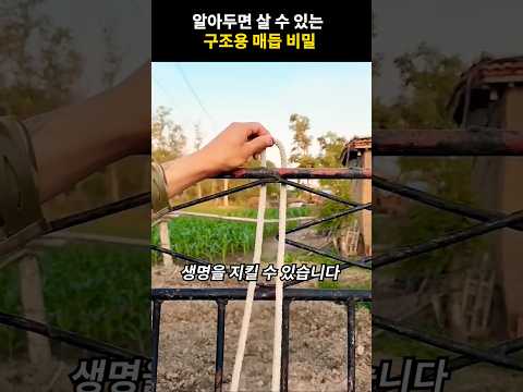 알아두면 살 수 있는 구조용 매듭 비밀