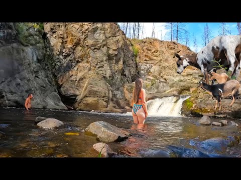 Our Goats Followed Us To A SECRET WATERFALL