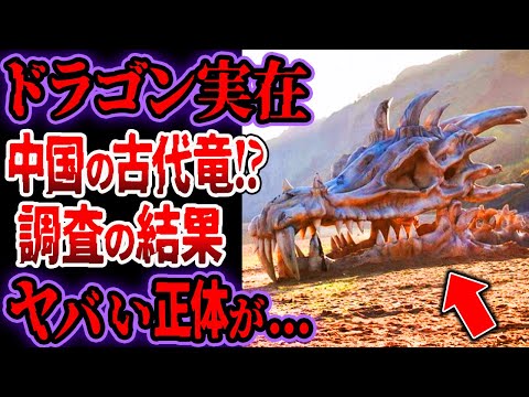 【総集編】ドラゴンが実在！？...中国の伝説竜か...研究チームの調査でヤバい正体が判明【ゆっくり解説】【古代生物】