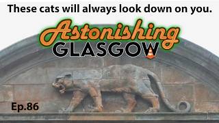Where are the cats hiding? Astonishing Glasgow Ep.86