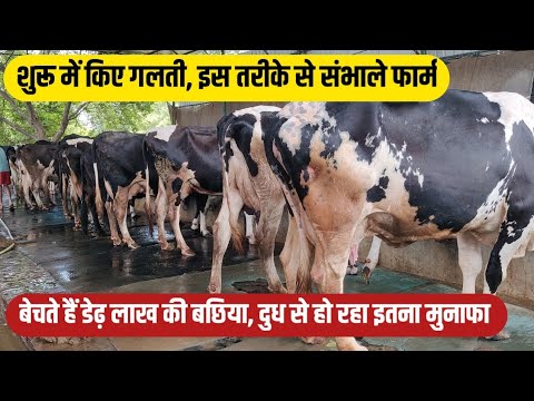 इस तरीके से किए फॉर्मिंग अब बेच रहे एक लाख बछिया/small dairy farm/cow dairy farm/dairy farming India