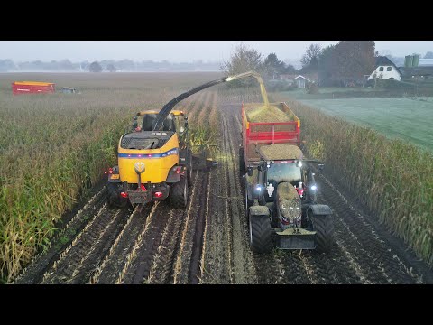 Mais Silage 2024 | New Holland FR600 + Valtra | NAP | NLR Agri