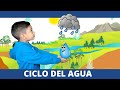 Understanding the Water Cycle