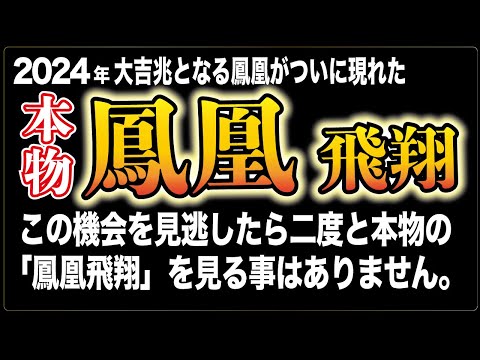 【稀有】鳳凰の飛翔は新しい時代の幕開けや平和の到来を象徴するという。「祖国日本の復活」2024年ついに鳳凰降臨「鳳凰飛翔」は、争いのない平和な世界や天皇の繁栄を祝う大前兆。#開運＃龍神＃強運