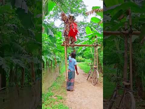 #unfrezzmyaccount #dancecover #dancer #love #তোমারপিন্দনেরশাড়িতে #tiktokviralsong