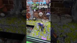 #ちいかわ のがまぐちポーチ何手で取れるかチャレンジ #ゲームセンター #プライズ獲得 #クレーンゲーム #アミューズメント限定 #ゲーセン #ufoキャッチャー #確率機 #ちいかわクレーンゲーム