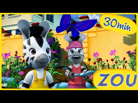 Zou et les Animaux ! 🐣 Créatures Mignonnes & Aventures Sauvages| ZOU en Français 🦓