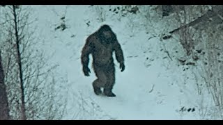 ULTIMATE BIGFOOT FOOTAGE!! PROOF CRITICS WERE WRONG AND LYING!!