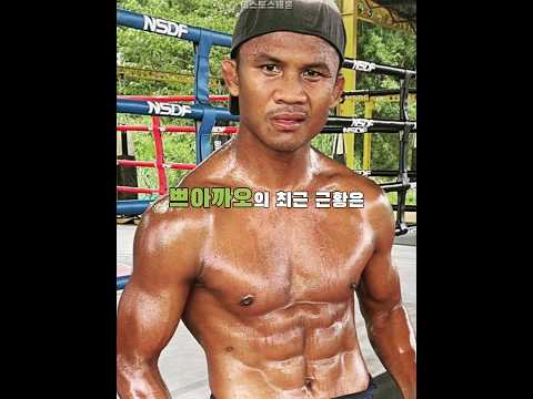맨손으로도 싸우고 있는 쁘아까오 #shorts