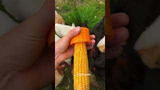Fastest way to peel corn?! 🌽 💨