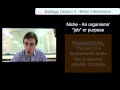 Ecological Interactions and Relationships