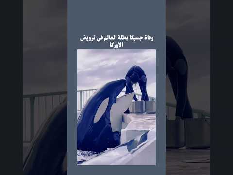 وفاة مروضة الاوركا #الوطن_العربي #الخليج_أونلاين #العالم_العربي #fypage #اكسبلور #fypシ゚viral #news