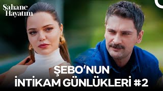Şebo'nun İntikam Günlükleri #2: Acı Veriyorsa Geçmiş, Geçmemiş Demektir - Şahane Hayatım