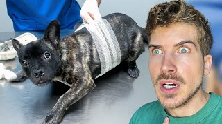 Shocking Pregnancy Update… Everything Changed!