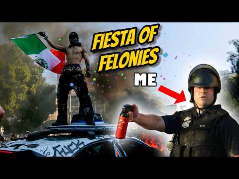 LA "Protest" Breakdown by Riot Police
