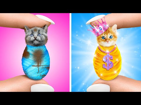 Kucing Liar Butuh Bantuan 😥 Tips dan Trik Perawatan Hewan yang Menakjubkan untuk Dicoba di Rumah