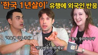 외국인이 한국에 살러 오는 외국인들에게 주는 진정한 충고