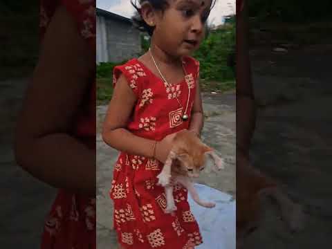 Kittens love baby more than her mumma