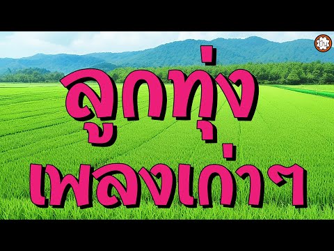 ลูกทุ่งเพลงเก่าๆ เพลงเพราะหาฟังยาก ฟังไม่มีเบื่อ #ฝนเดือนหก #น้ำลงเดือนยี่ #สวยครบสูตร