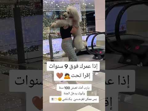 #يارب