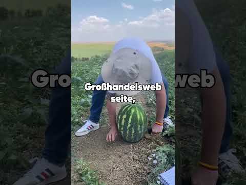 Meine verwöhnte Cousine ruinierte mein Ballkleid, weil sie es mehr verdient hatte zu strahlen.