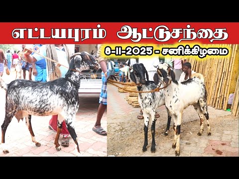 எட்டையாபுரம் சனிக்கிழமை ஆட்டுச் சந்தை தூத்துக்குடி மாவட்டம் 