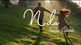 (Lyrics+Vietsub) Billie Eilish - NDA