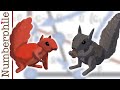 Understanding Squirrel Population Dynamics