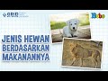 Kuis Tentang Jenis Hewan Berdasarkan Makanan