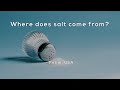 Understanding Salt: Origins and Mining